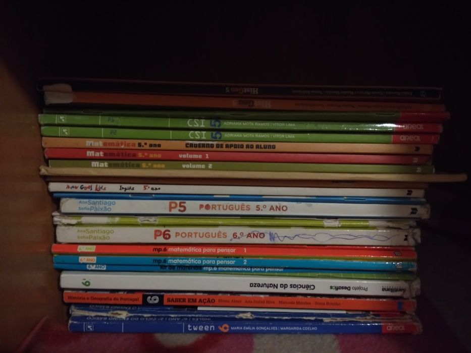 Manuais escolares 5º e 6º ano com cadernos de atividades