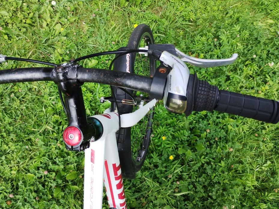 Rower GIANT ESCAPE JUNIOR na kołach 24" - rama aluminium - Shimano 1x7