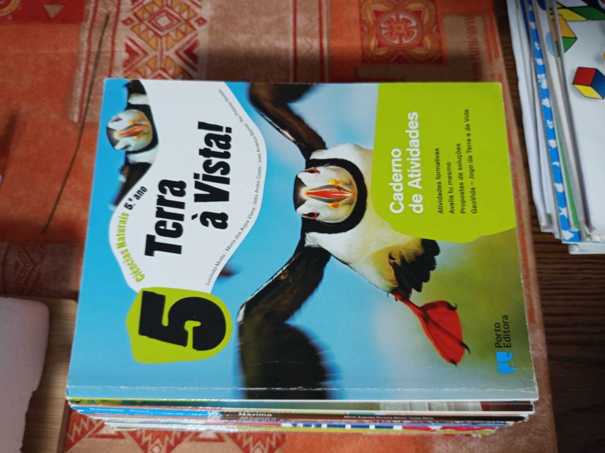 Manuais e cadernos de atividade do 5º Ano