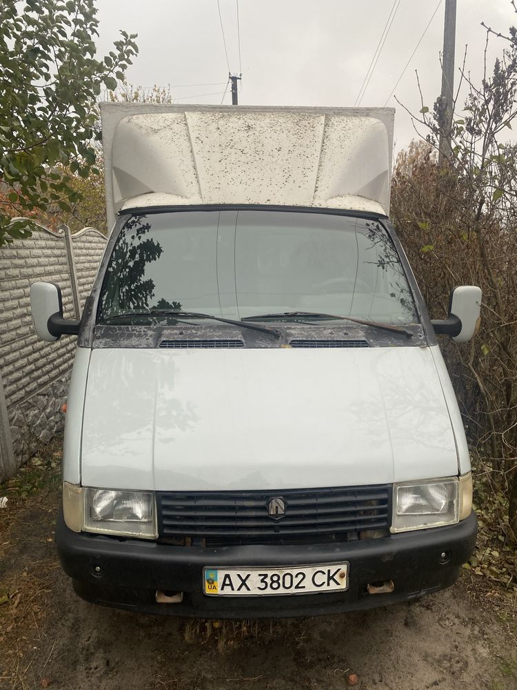 Газель.