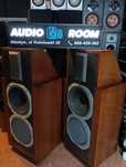 Kolumny REVOX Symbol B 250 wat