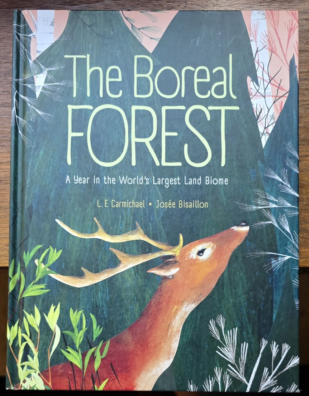 The Boreal Forest - Tajga album dla dzieci ANGIELSKI