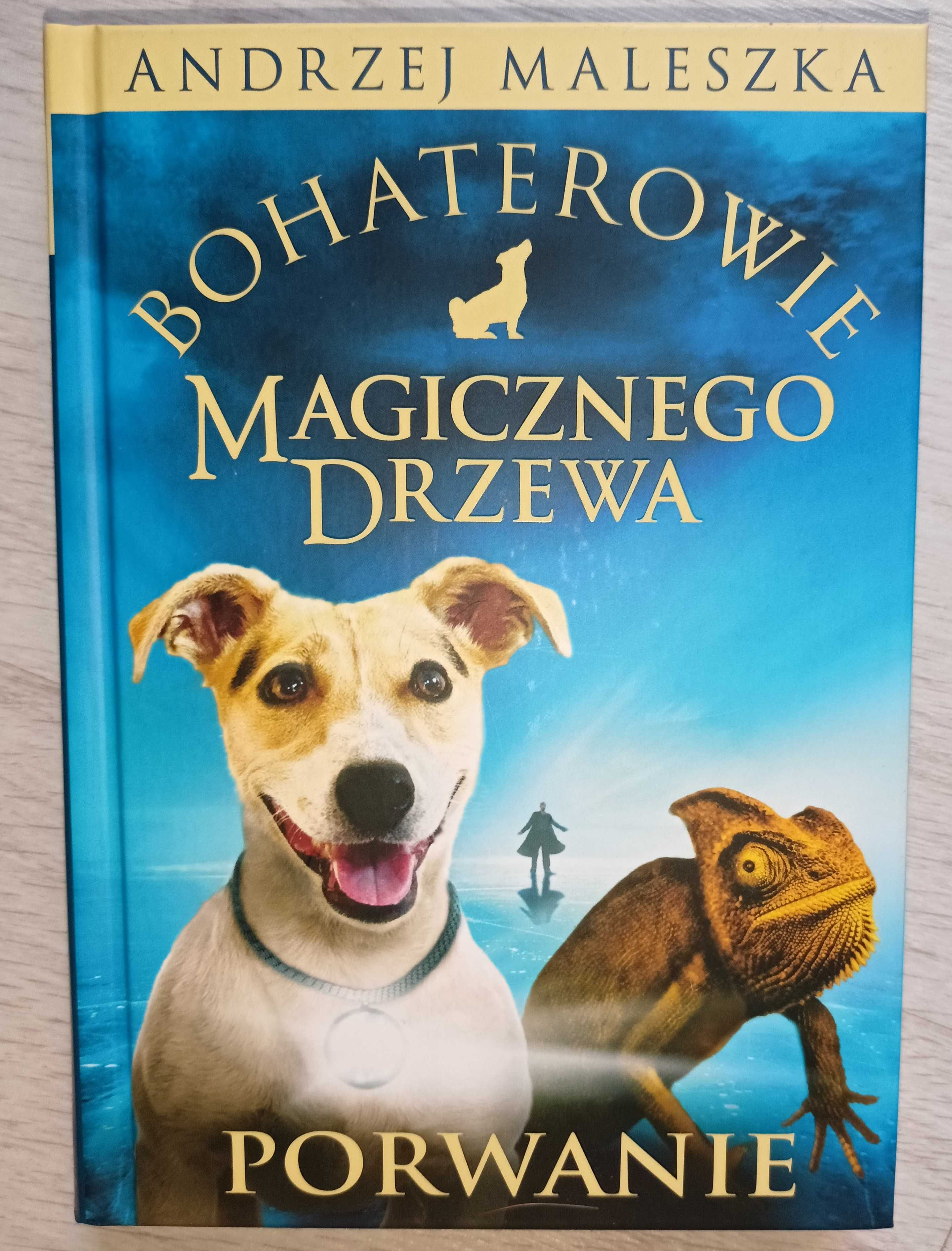 Bohaterowie Magicznego Drzewa - Porwanie