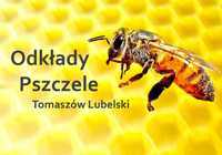 Pszczoły pszczoly odkłady pszczele odklady pszczele