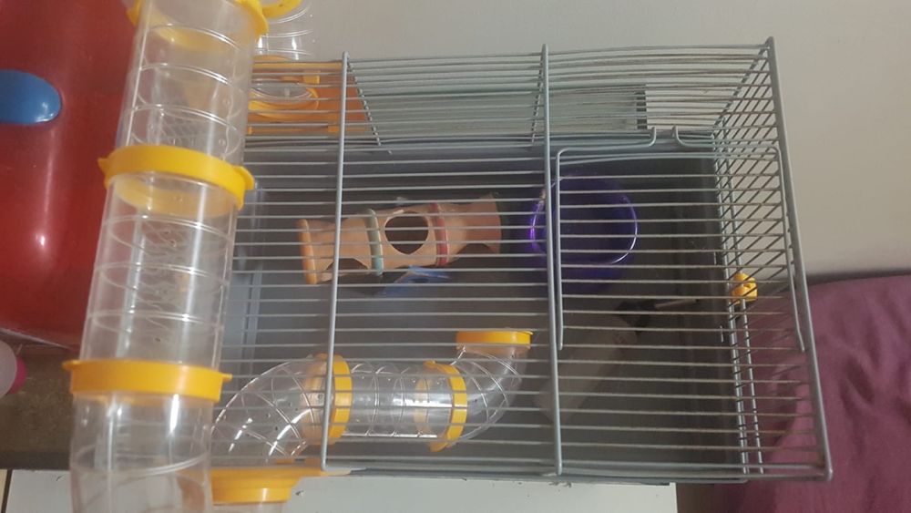 Gaiolas para hamsters
