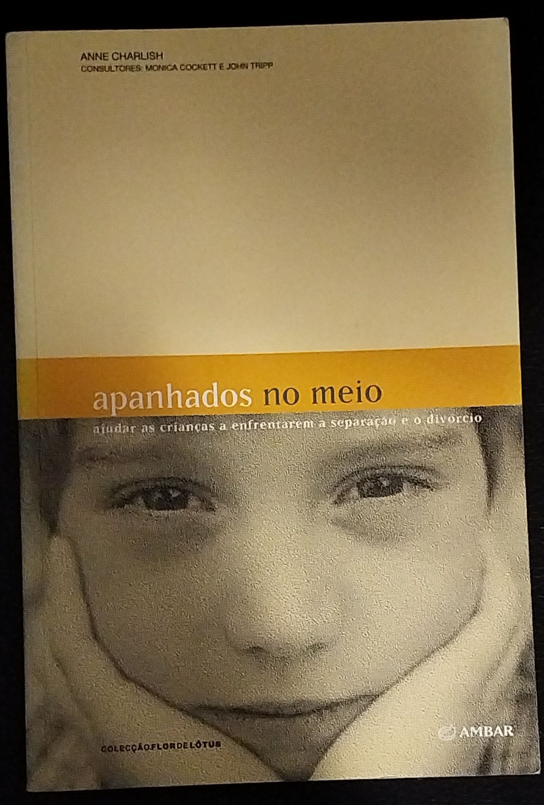 Livros sobre filhos de divórcio - vários