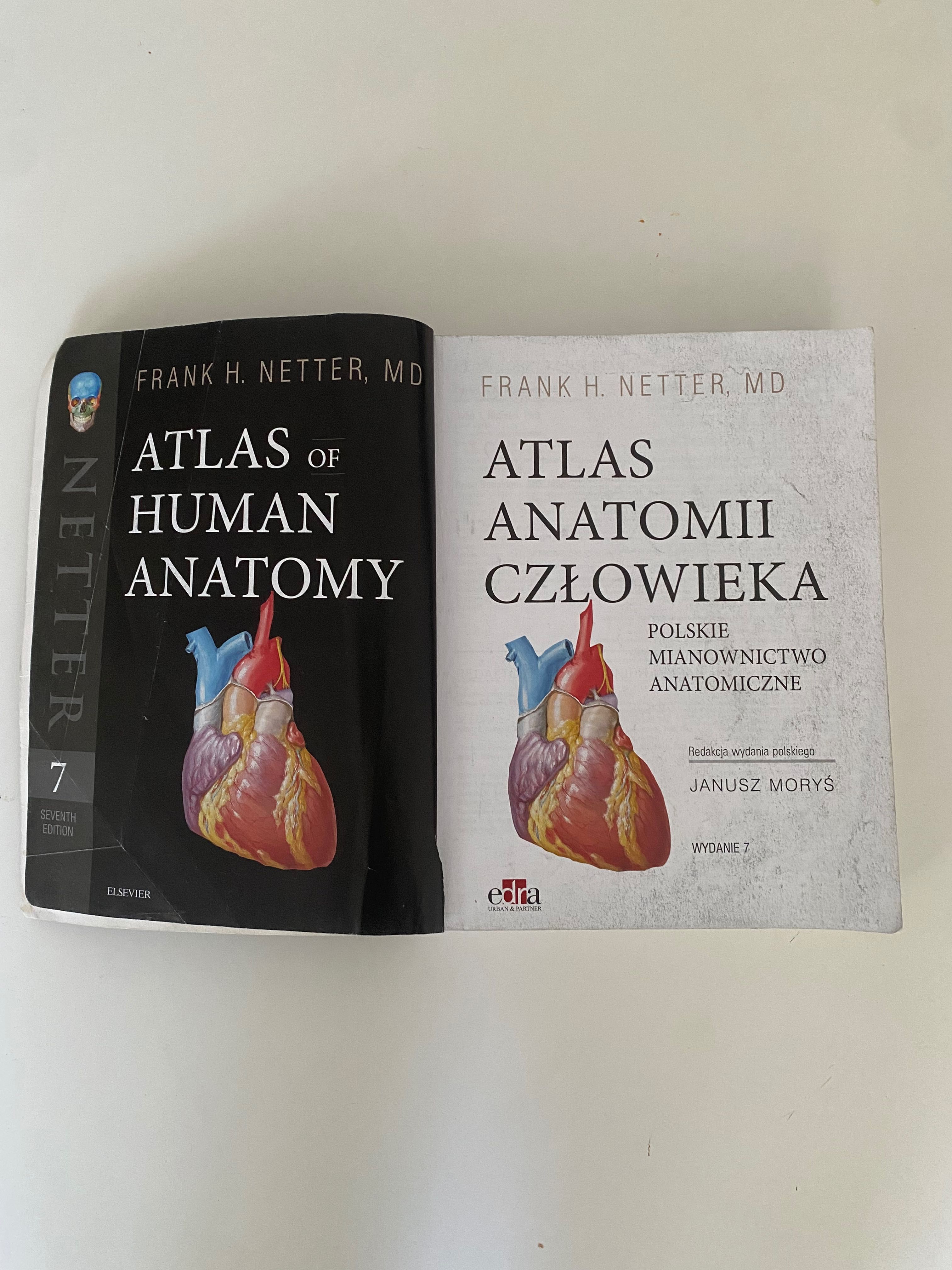 Atlas anatomii człowieka Netter