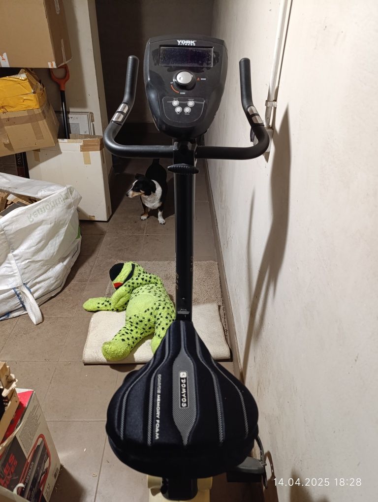 Rower stacjonarny, orbitrek