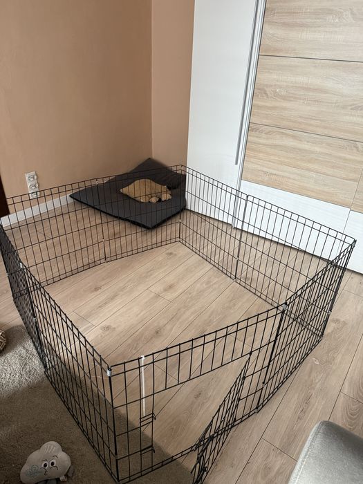 kojec dla psa klatka dla psa zagroda dla psa z drzwiczkami