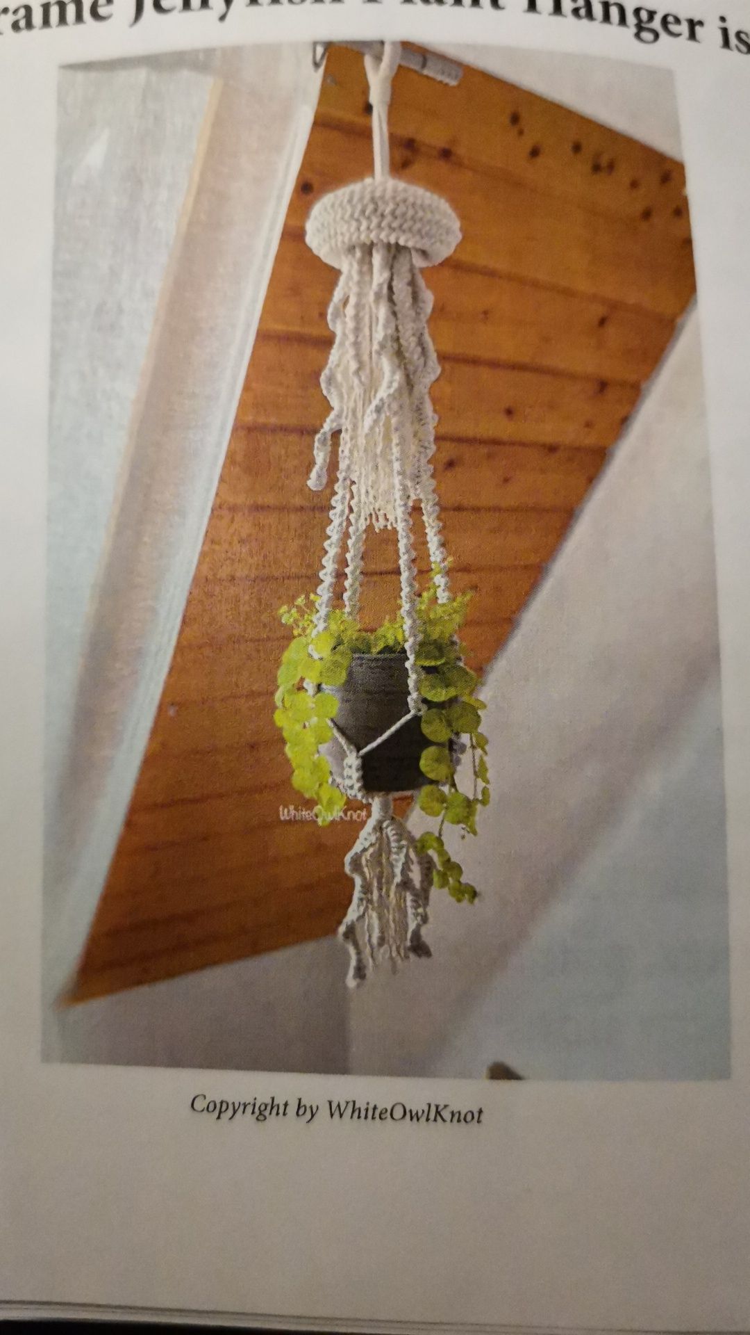 Fruteira suspença em macramé Medusa