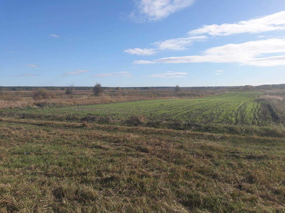 Земельна ділянка. Власник.