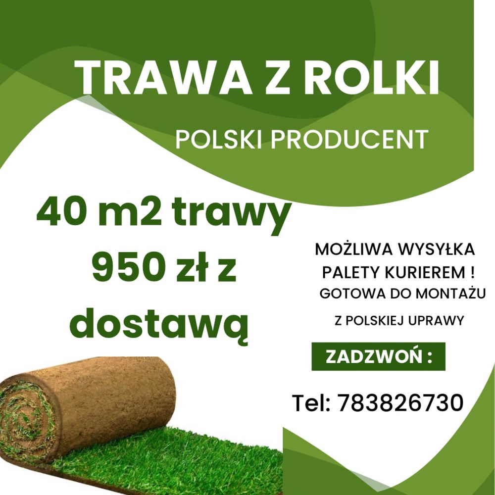 Trawa z rolki premium, sprzedaż, transport pod dom, polska produkcja