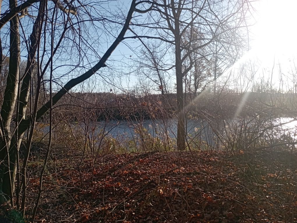 Земельна ділянка у лісі біля води. За Дахнівкою.