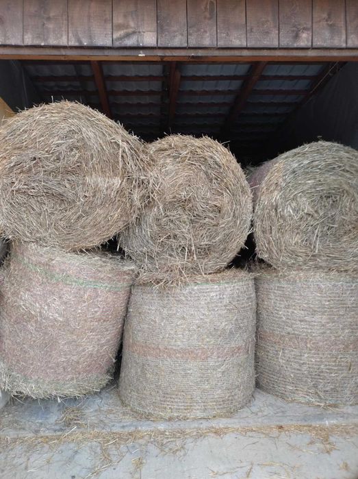 Baloty 120 - słoma pszenna