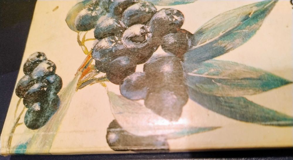 Aronia+ Kleparski ,Domino