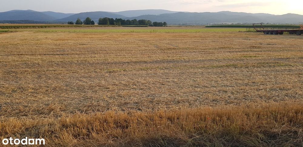 Działka siedliskowa na sprzedaż Bratoszów gmina Pieszyce