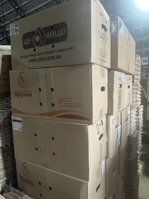 Лоток яєчний на 30 яєць