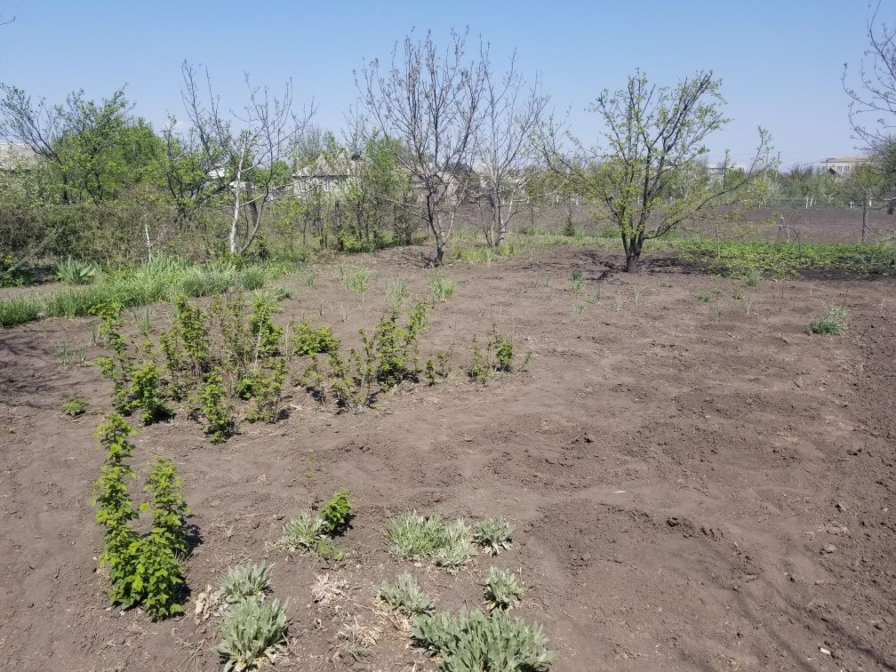 Продам будинок в смт Петропавлiвка