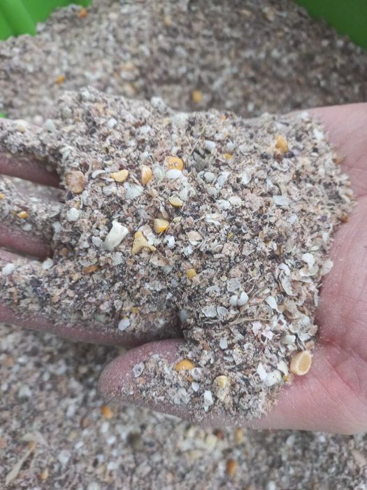 Mieszanka zbozowa pasza dla swin