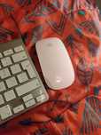 Magic mousse, bluetooth original Apple.