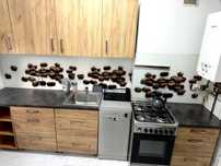 Kompletna zabudowa kuchenna+ zmywarka lite drewno