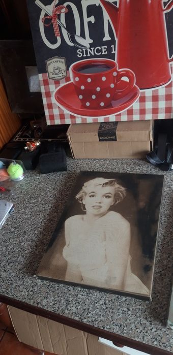 Conjunto de 6 Quadros Decorativos