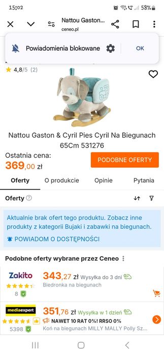 Piesek na biegunach