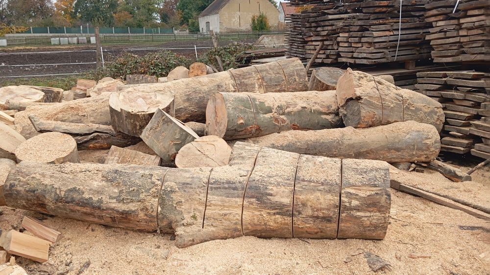 Drewno kominkowe buk, jesion, dąb