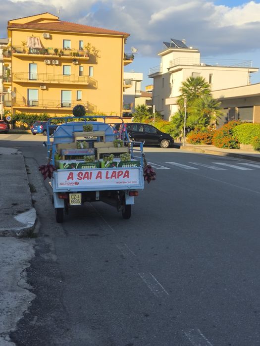 Korepetycje z języka włoskiego