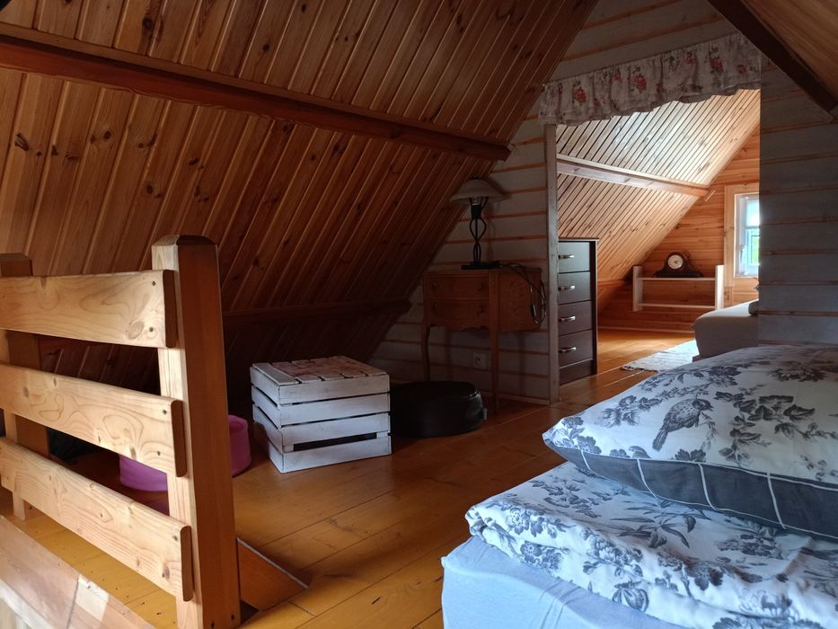 domek brzoza chatkiujagody