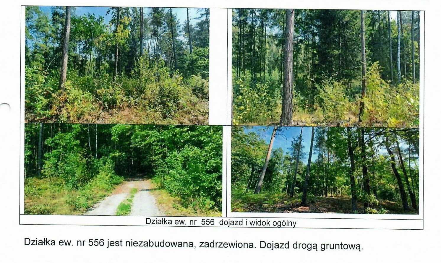 KAMIONKA LAS 8,84 HA [udział wielkości 14/120]