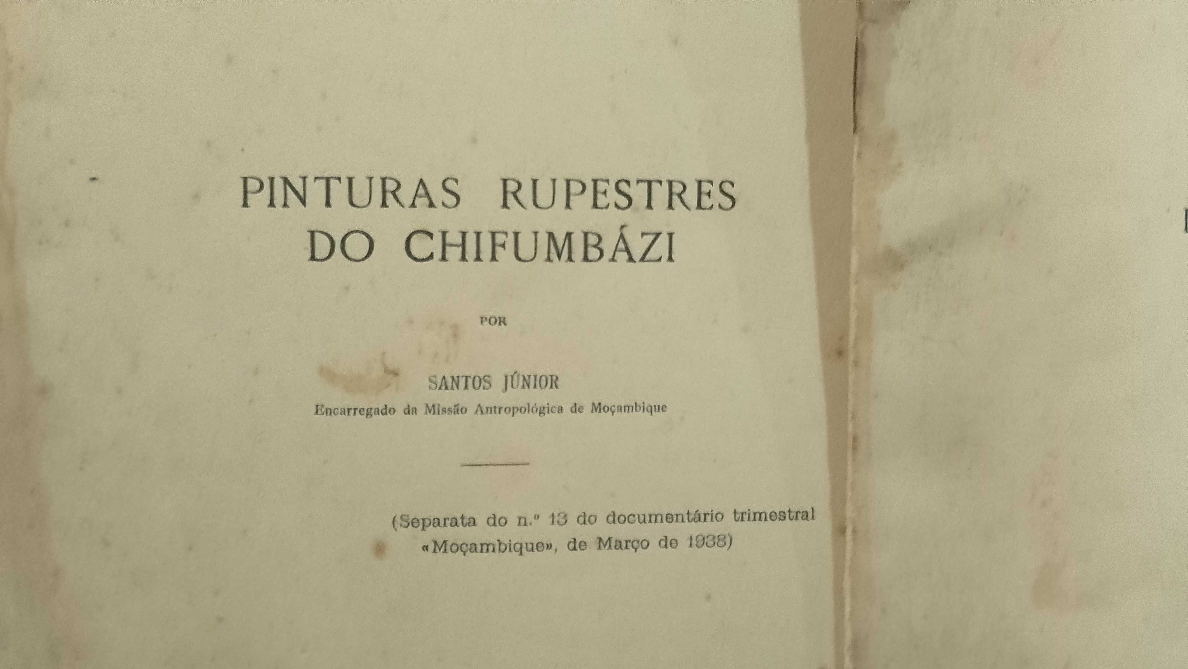 Pinturas Rupestres do Chifumbázi e Estudo da Idade da Pedra Moçambique