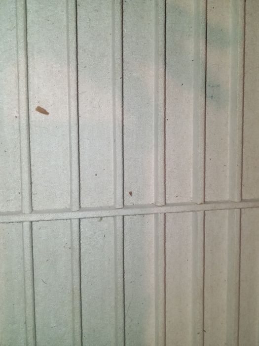 Expositor mont balnc