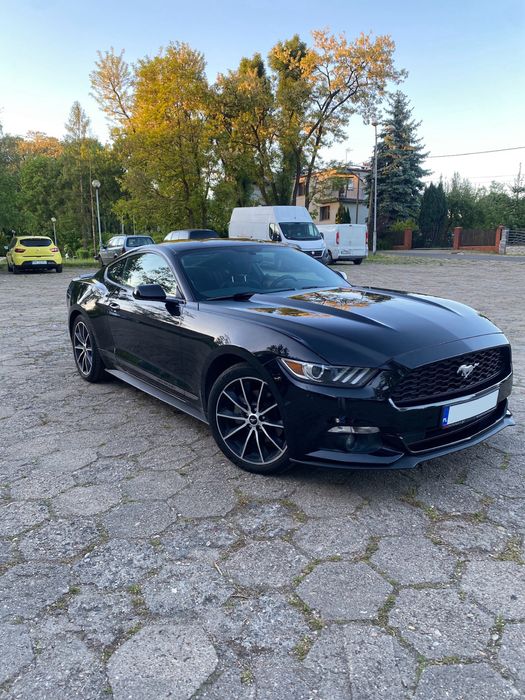 Ford Mustang do ślubu / imprez z kierowcą