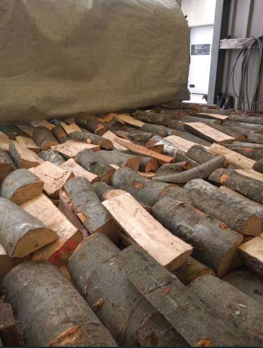 Dąb, Brzoza, Buk, Jesion, Sosna- drewno kominkowe, opałowe