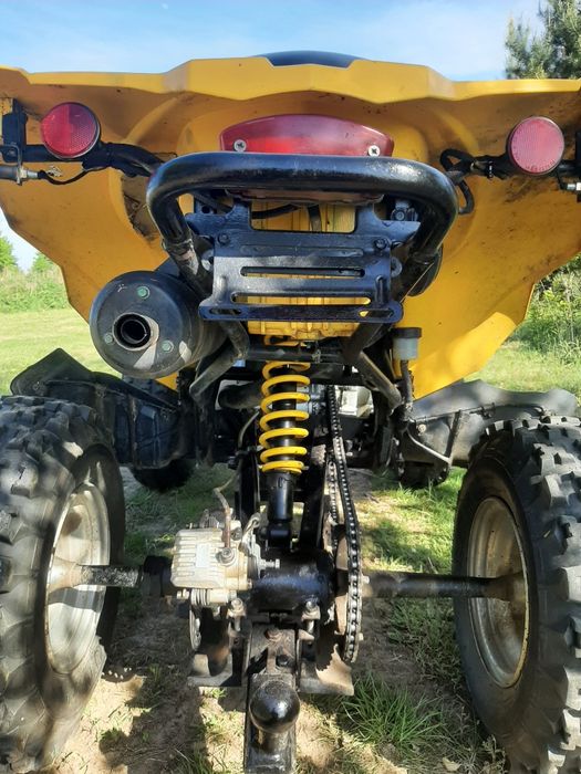 Can am ds250 Quad 250