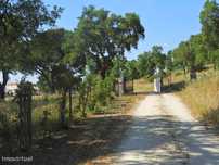 Herdade nos Foros de Salvaterra – Quinta agrícola