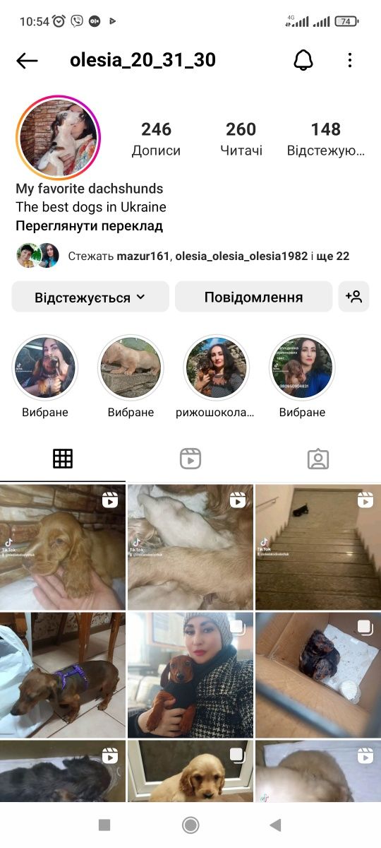 Чорнопідпалі таксята