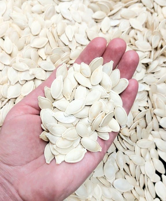 Продам гарбузове насіння. Добре підсушене. 200 грн