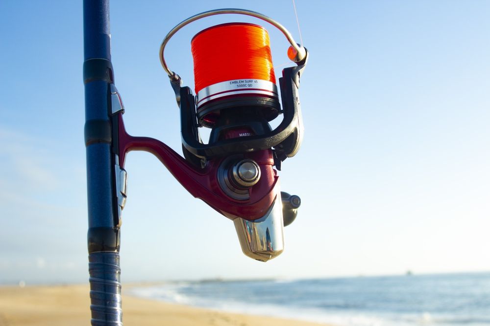 Cana madmousse 405 bx + DAIWA Emblem surf 45 Type-R