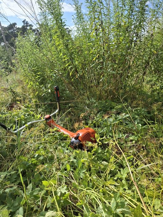 Koszenie traw, trawników, usługi glebogryzarką, wycinka drzew