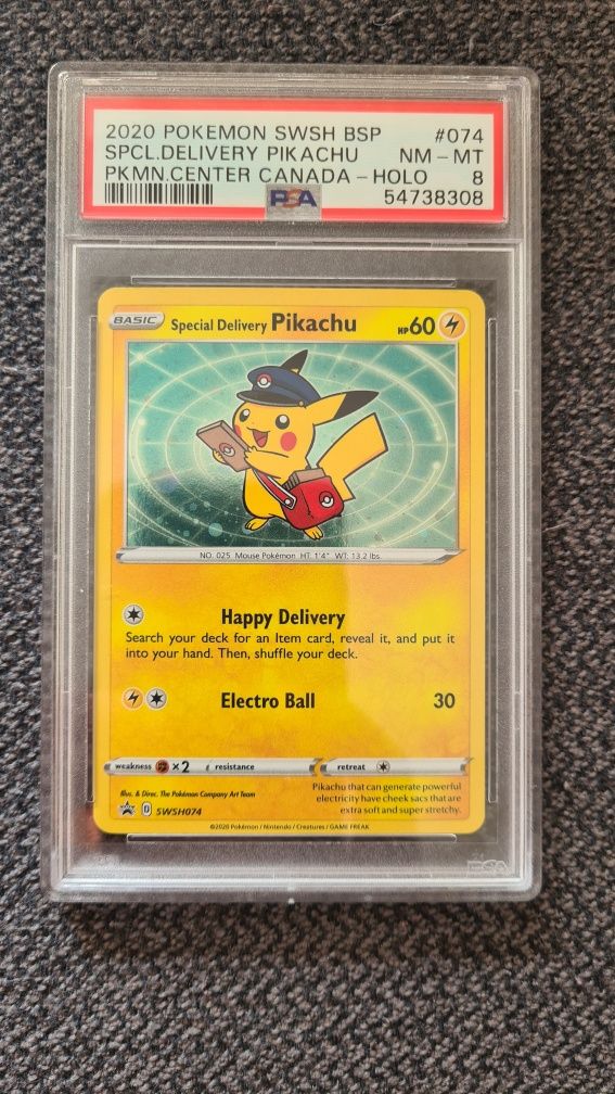 Special Delivery Pikachu, Bidoof e Charizard - Pokemon