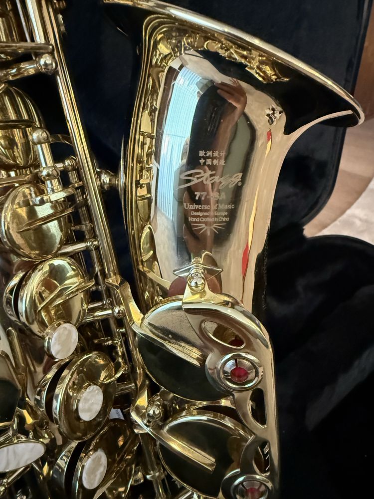 Saxophone Alto Stagg
