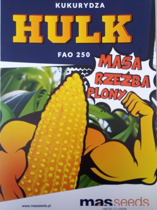 Kukurydza siewna HULK! już dostępny