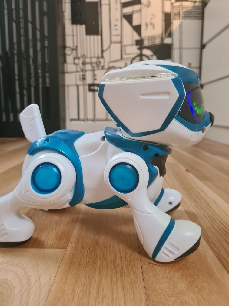 Pies robot, teksta