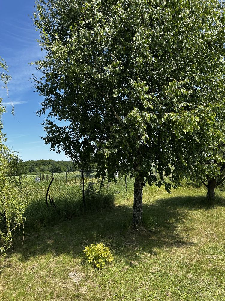 Działka rekreacyjna (budowlana) krasne gm. Uścimów