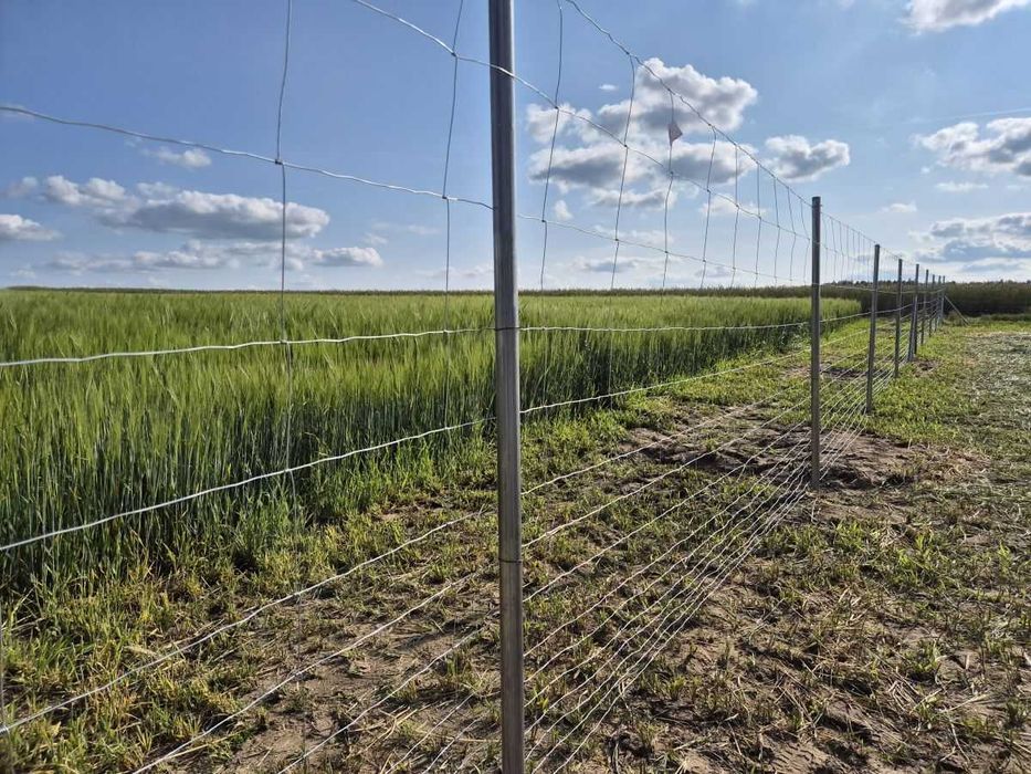 Ogrodzenie z Siatki Leśnej metalowe Tymczasowe / Budowlane Estetyczne