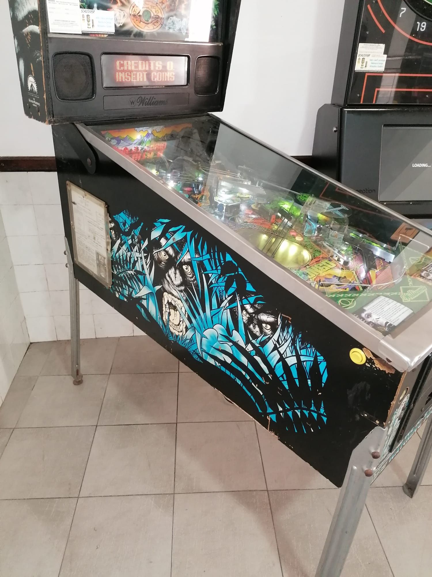 Flipper Williams Congo