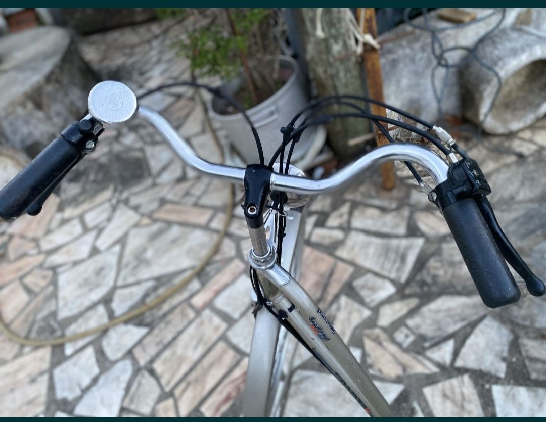 Bicicleta sparta com motor a gasolina de origem