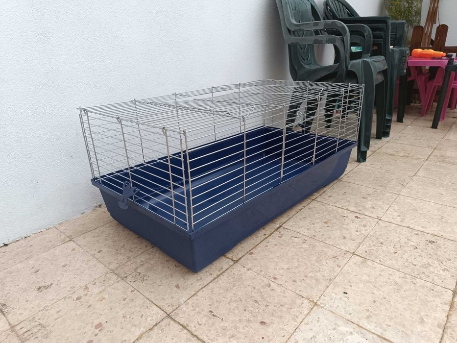 Gaiola coelho / porco da Índia grande